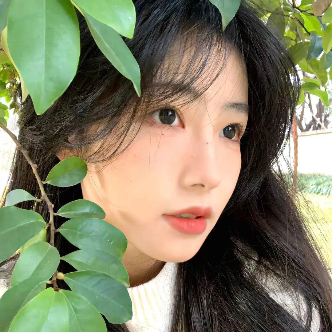 陈翔六点半之拳王妈妈